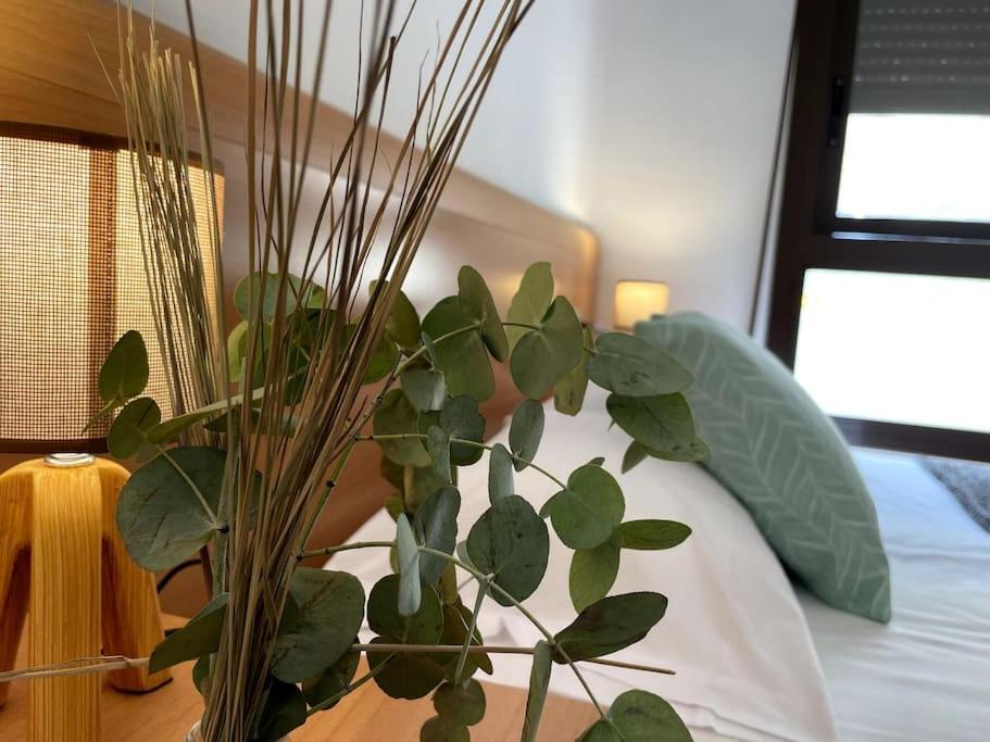 Taima Flats 3 Apartment Аликанте Екстериор снимка